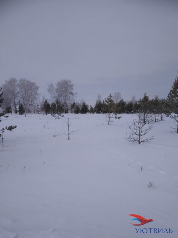 Земельный участок поселок Баженово в Красноуральске - krasnouralsk.yutvil.ru - фото 3
