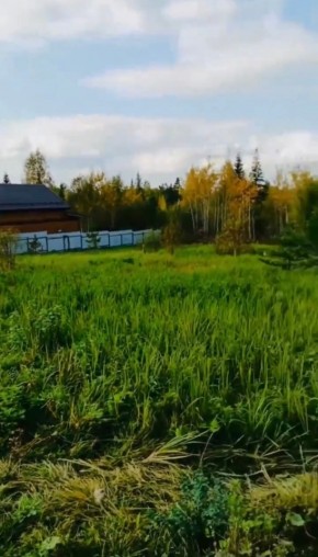 ДП Родной в Красноуральске - krasnouralsk.yutvil.ru