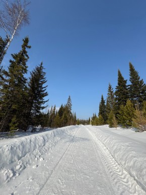 ДП Родной в Красноуральске - krasnouralsk.yutvil.ru - фото 7