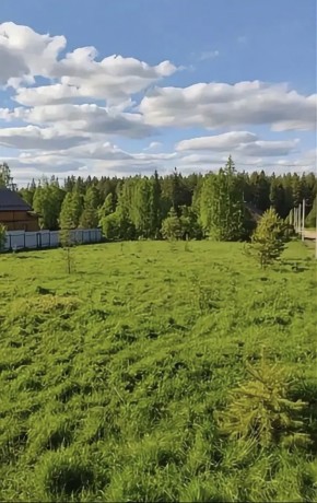 ДП Родной в Красноуральске - krasnouralsk.yutvil.ru - фото 3 ДП Родной в Красноуральске - krasnouralsk.yutvil.ru - фото 3