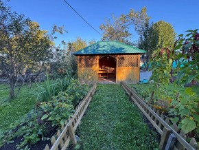 Екатеренбург сад Торгмаш, СНТ  Садовод, уч. 52 в Красноуральске - krasnouralsk.yutvil.ru - фото 10