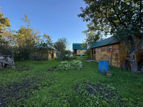 Екатеренбург сад Торгмаш, СНТ  Садовод, уч. 52 в Красноуральске - krasnouralsk.yutvil.ru - фото 14