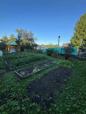 Екатеренбург сад Торгмаш, СНТ  Садовод, уч. 52 в Красноуральске - krasnouralsk.yutvil.ru - фото 16