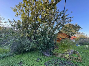 Екатеренбург сад Торгмаш, СНТ  Садовод, уч. 52 в Красноуральске - krasnouralsk.yutvil.ru - фото 17