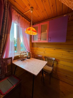 Екатеренбург сад Торгмаш, СНТ  Садовод, уч. 52 в Красноуральске - krasnouralsk.yutvil.ru - фото 4