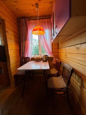Екатеренбург сад Торгмаш, СНТ  Садовод, уч. 52 в Красноуральске - krasnouralsk.yutvil.ru - фото 5