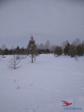 Земельный участок поселок Баженово в Красноуральске - krasnouralsk.yutvil.ru - фото 5