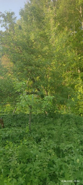 г Верхняя пышма, СНТ Мираж, уч.№ 99 в Красноуральске - krasnouralsk.yutvil.ru - фото 10