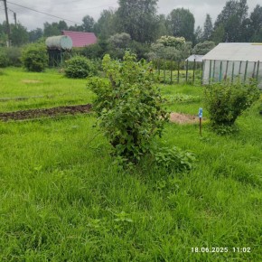г Верхняя пышма, СНТ Мираж, уч.№ 99 в Красноуральске - krasnouralsk.yutvil.ru - фото 11