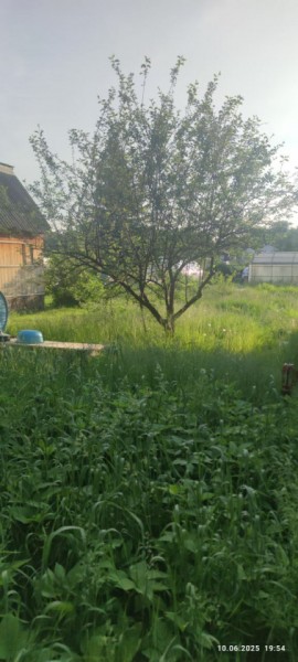г Верхняя пышма, СНТ Мираж, уч.№ 99 в Красноуральске - krasnouralsk.yutvil.ru - фото 19