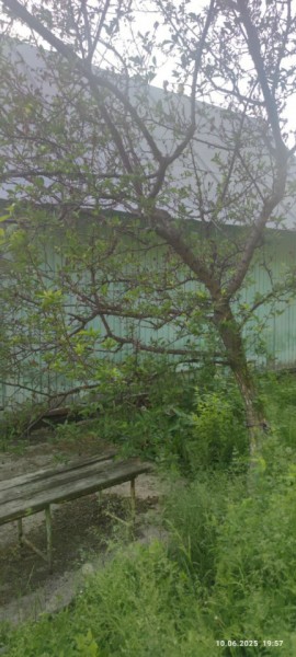 г Верхняя пышма, СНТ Мираж, уч.№ 99 в Красноуральске - krasnouralsk.yutvil.ru - фото 26