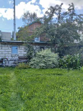 Коллективный сад номер 7, участок 58 в Красноуральске - krasnouralsk.yutvil.ru - фото 21 Коллективный сад номер 7, участок 58 в Красноуральске - krasnouralsk.yutvil.ru - фото 21