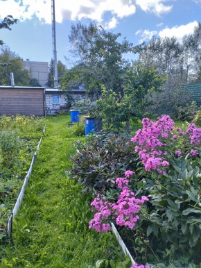 Коллективный сад номер 7, участок 58 в Красноуральске - krasnouralsk.yutvil.ru - фото 23 Коллективный сад номер 7, участок 58 в Красноуральске - krasnouralsk.yutvil.ru - фото 23