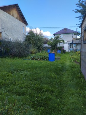 Коллективный сад номер 7, участок 58 в Красноуральске - krasnouralsk.yutvil.ru - фото 26 Коллективный сад номер 7, участок 58 в Красноуральске - krasnouralsk.yutvil.ru - фото 26