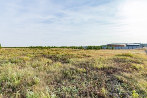 Российская Федерация, Свердловская область, Сысертский городской округ, территория садоводческого некоммерческого товарищества Бобровские дачи, улица Каштановая, земельный участок № 38 в Красноуральске - krasnouralsk.yutvil.ru - фото 24