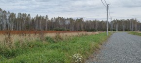 с. Новоалексеевское, КП Оникс,  в Красноуральске - krasnouralsk.yutvil.ru - фото 2