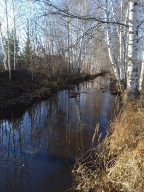СНТ Берёзка в Красноуральске - krasnouralsk.yutvil.ru - фото 14