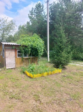 СНТ Родники в Красноуральске - krasnouralsk.yutvil.ru - фото 1 СНТ Родники в Красноуральске - krasnouralsk.yutvil.ru - фото 1