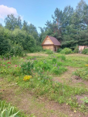 СНТ Родники в Красноуральске - krasnouralsk.yutvil.ru - фото 2 СНТ Родники в Красноуральске - krasnouralsk.yutvil.ru - фото 2