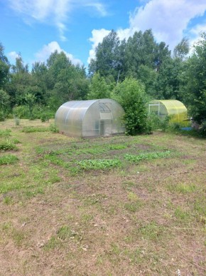 СНТ Родники в Красноуральске - krasnouralsk.yutvil.ru - фото 3 СНТ Родники в Красноуральске - krasnouralsk.yutvil.ru - фото 3