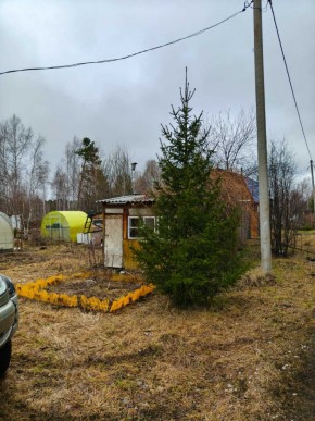 СНТ Родники в Красноуральске - krasnouralsk.yutvil.ru - фото 5