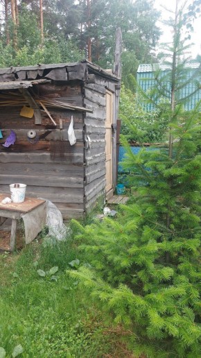 Екатеринбург, СНТ Садовод-24 в Красноуральске - krasnouralsk.yutvil.ru - фото 13