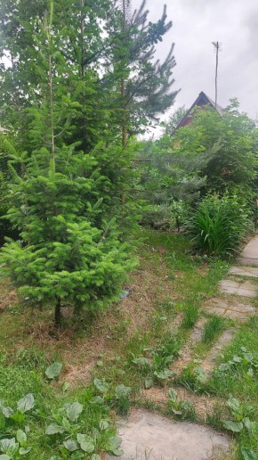 Екатеринбург, СНТ Садовод-24 в Красноуральске - krasnouralsk.yutvil.ru - фото 15