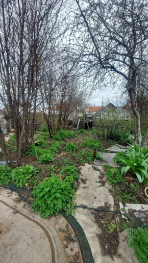СНТ Сирень, уч. 38 в Красноуральске - krasnouralsk.yutvil.ru - фото 7