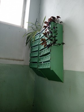 ул. Бажова,11 в Красноуральске - krasnouralsk.yutvil.ru - фото 2