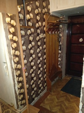 ул. Бажова,11 в Красноуральске - krasnouralsk.yutvil.ru - фото 9 ул. Бажова,11 в Красноуральске - krasnouralsk.yutvil.ru - фото 9