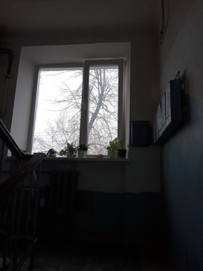 ул. Донбасская,27 в Красноуральске - krasnouralsk.yutvil.ru - фото 5 ул. Донбасская,27 в Красноуральске - krasnouralsk.yutvil.ru - фото 5