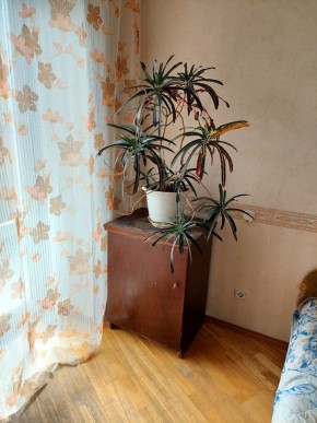 ул. Индустрии,29 в Красноуральске - krasnouralsk.yutvil.ru - фото 4