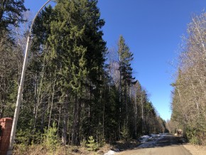 ул. Калиновая,9 в Красноуральске - krasnouralsk.yutvil.ru - фото 4