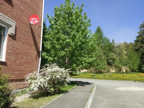ул. Сосновая, 8 в Красноуральске - krasnouralsk.yutvil.ru - фото 25
