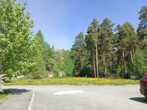 ул. Сосновая, 8 в Красноуральске - krasnouralsk.yutvil.ru - фото 26