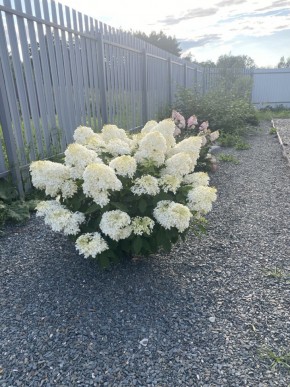 ул. Весенняя,12 в Красноуральске - krasnouralsk.yutvil.ru - фото 20